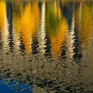Reflections in Tokyo